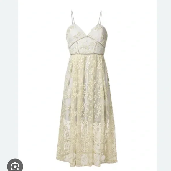 Self Portrait Floral Embroidered Mesh Midi Dress -  threedaughtersproperties.com